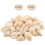 Shell Beads for Jewelry Making 50 pcs 1