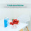 Clear Acrylic Fruit and Dessert Stand Tray 5