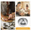 Stainless Steel Cookie Cutter Set – 4.8 cm Novelty Shape 5