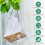 TITOUMI window bird feeder with suction cup, triangle clear 3