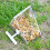 TITOUMI window bird feeder with suction cup, triangle clear 5