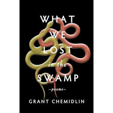 What We Lost in the Swamp by Grant Chemidlin Paperback Book