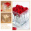 Acrylic Clear Flower Box 15.5 x 15 x 15 cm 5