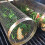 Stainless Steel Grill Basket 20 cm 4