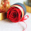 Preserved Real Rose in Black Box – 1 Rose 1