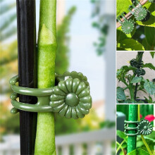 Clips de support en rotin pour plantes grimpantes et fleurs (50 pièces)
