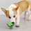 Brinquedo para cães, congelável, com apito, em formato de fruta (1 peça) 4