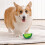 Brinquedo para cães, congelável, com apito, em formato de fruta (1 peça) 5