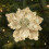 Glitzernde künstliche Magnolienblume, 22 cm 3