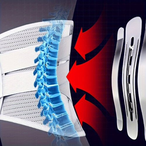 Sports Back Support Belt with Ergonomic Spinal Support for Posture Correction During Work & Training 2
