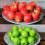 Tailai10Pcs Mini Simulation Super Small Apples Foam Plastic,Creative Foams Fruit Model Home Decor,Red compatibile con Apple 6