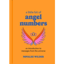 Little Bit of Angel Numbers by Novalee Wilder Hardcover Book