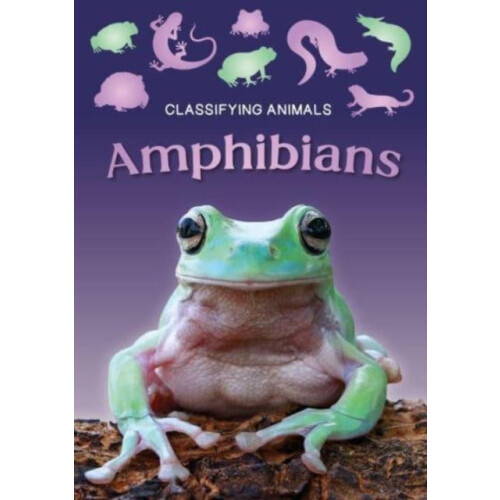 Amphibians by Charlie Ogden Paperback Book