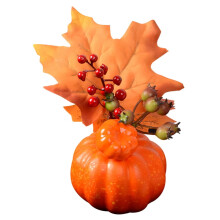 Gourd pumpkin saorga le lus na gréine 5.9 orlach