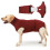 Hunde-Physiologische Hose mit Windelunterlage 1