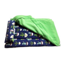 Bearded Dragon Sleeping Bag with Detachable Pillow & Fixed