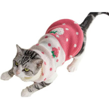 Trui van wol met kattenmotief, aardbei en hartje.