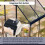 Birchtree BIRCHTREE 6X4FT Polycarbonate Greenhouse Dark Grey 5