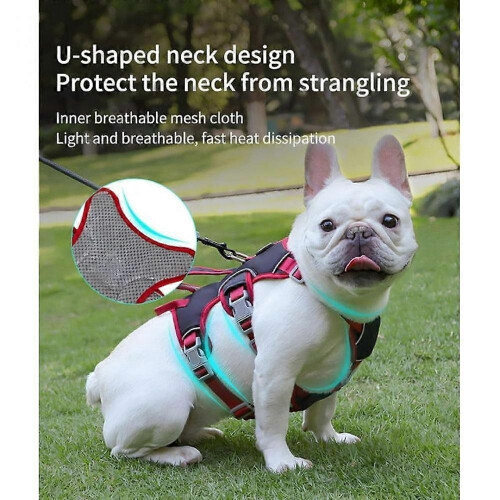Padded Handle Dog Harness, Escape-Proof Design with Two Handles for Training and Walking 2