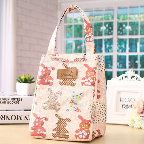 Isolierte Lunchtasche – Tragbare Kühltasche für Kinder &