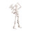 Figurine scheletice mobile pentru decor de Halloween 1