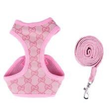 Ensemble harnais pour animal de compagnie et laisse de dos – Polyester, ajustable
