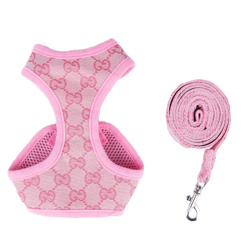 Ensemble harnais pour animal de compagnie et laisse de dos – Polyester, ajustable