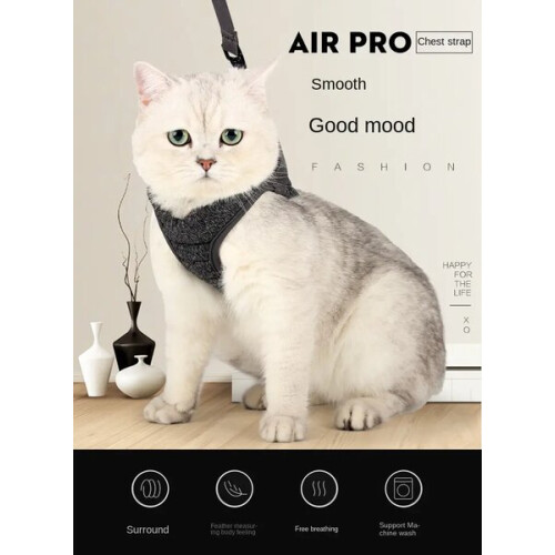 Cat Leash and Collar Set Grey Adjustable for Safe Outdoor Exploration 2