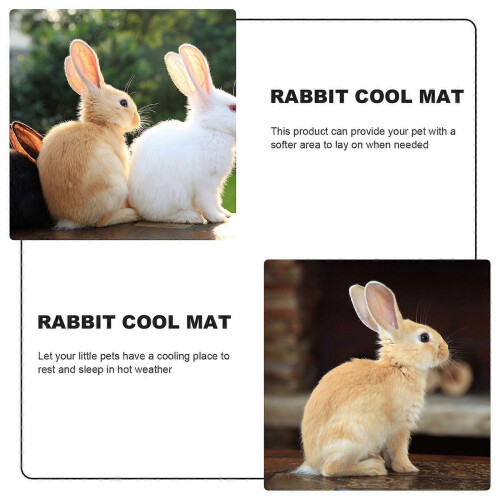 2 Pcs Rabbit Grass Woven Mat Bunny Bed Cushion Cooling Mat for Small Animals 2