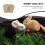 2 Pcs Rabbit Grass Woven Mat Bunny Bed Cushion Cooling Mat for Small Animals 4