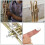 3pcs White Professional Trumpet Finger Buttons Practical Instrument Accessories 3