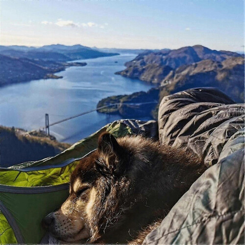 Amaca pieghevole portatile per dormire, resistente agli strappi, ideale per escursionismo e campeggio. 1