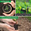 Peat Pots Seed Starter 6x6cm Biodegradable Nursery Cups for Plants, Herbs, Vegetables 3
