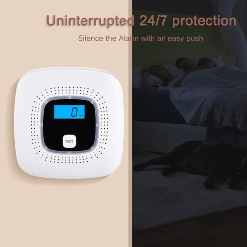 Digitale CO-melder met vervangbare batterij - Digitaal display - Testknop - LED-indicator - Koolmonoxide 2