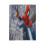 Spider-Man Fleece-Decke, 80 x 60 Zoll 2