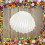20pc White PP Seashell-Shaped Gift Boxes 4