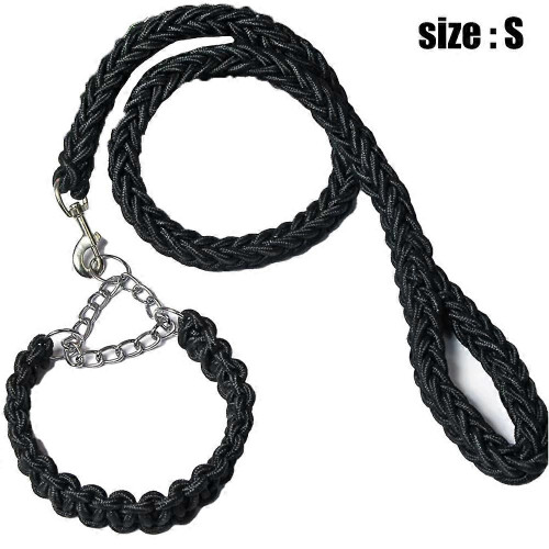Rust Resistant Metal Dog Chain Leash for Training and Outdoor Use 1
