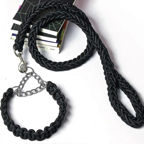 Rust Resistant Metal Dog Chain Leash for Training and Outdoor Use 2