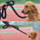 Rust Resistant Metal Dog Chain Leash for Training and Outdoor Use 4
