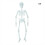 Squelette complet phosphorescent de 1,5 m (5 pieds) 5