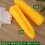 Lebensechte PVC-Mais-Figur, dekorative Requisite 4