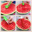 Potato Peeler with Fruit Ball Digger 1 Piece 6