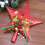 Plastic Christmas Tree Star Topper 20cm Red 5