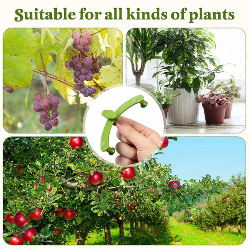 Plastic Plant Training Branch Benders for Fruit Trees, 5-Piece Set, Green 2