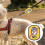 Patch identificative per cani, 3 pezzi in tessuto impermeabile, toppe riutilizzabili per collare 5