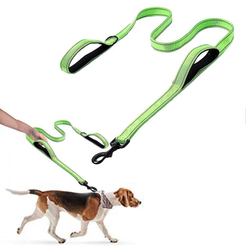 Nylon Dog Leash with 2 Padded Handles, Reflective Strips for Night Walking, 1.8m 1
