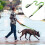 Nylon Dog Leash with 2 Padded Handles, Reflective Strips for Night Walking, 1.8m 5