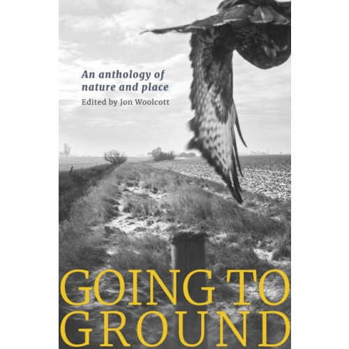 Going to Ground Paperback Book