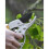 JOULLI Pruning Shears, Hedge Trimmer/Branch Pruning Scissors for Gardening 3
