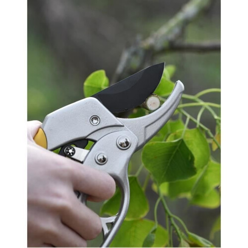 JOULLI Pruning Shears, Hedge Trimmer/Branch Pruning Scissors for Gardening 2
